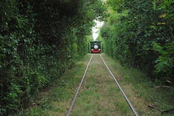 Una nueva esperanza para la vuelta del tren, de la mano del turismo y de la producción