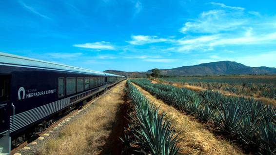 https://www.impulsonegocios.com/wp-content/uploads/2019/05/tren-diversidad-28052019in1.jpg