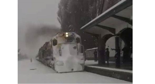 Legisladores piden restituir las frecuencias del Tren Patagónico